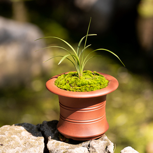 应小青全手工紫砂花盆蝴蝶兰盆景兰花兰草小号大号多肉老桩专用盆