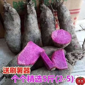浓浓的柳州味淘宝5斤广西柳州农家新鲜现挖甜木树番薯红皮面包木薯