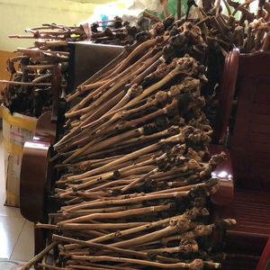 云南特产黑果树黑果木背锤捶背木雕天然树瘤原生态半成品大瘤12e9