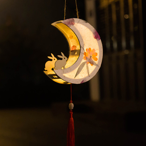 虎年新春花灯彩灯制作正月十五花灯儿童diy手提发光古风花草宫灯