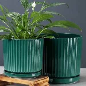 虎皮兰专用花盆陶瓷大号特大号花盆新中式高端仙人球花盆带托盘