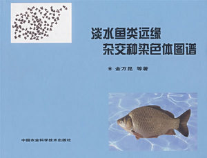 正版淡水鱼类远缘杂交种染色体图谱 金万昆著 中国农业科学技术出