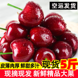 大车厘子超大