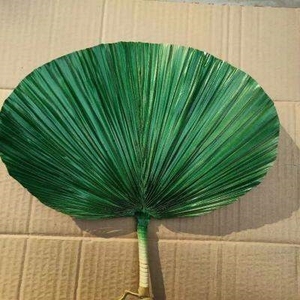 芭蕉扇 铁扇公主古典舞蹈专用扇子道具铁扇公主芭蕉扇子济公扇子