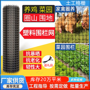 塑料围栏网养鸡网养殖圈玉米栅栏隔离菜园果园鱼塘户外防护围网