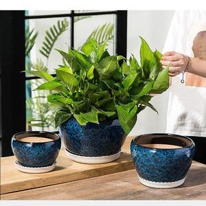 特价清仓中国风盆陶瓷孔雀蓝吊兰带托盘大号绿萝大花多肉花盆