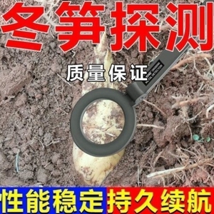 00瑶瑶公主的草莓裙淘宝金属探测器银铜冬笋运动械仪地下宝10米3寻