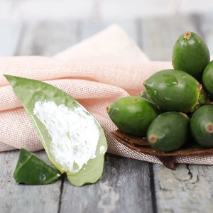 生槟榔贝壳粉海南生槟榔戒烟替代零食男士戒烟小零食无糖提神食品