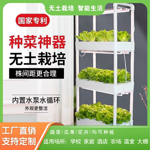 室内阳台立体无土栽培设备水培蔬菜种植箱种菜神器家庭水耕种植机