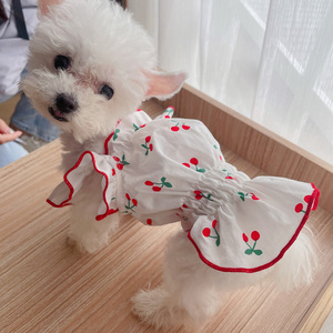 2021美款衣服夏季薄款比熊博美茶杯小型犬小狗的宠物背.