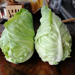 卷心菜新鲜蔬菜牛心菜包菜绿色5斤莲花白绿甘蓝云南农特产泡菜