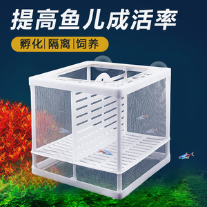 鱼缸隔离网吸附式分离网孔雀鱼苗斗鱼卵孵化器水族箱悬浮式繁殖盒