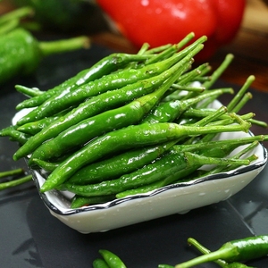 新鲜绿色农家现摘现发青色小米椒小尖椒辣椒泡椒朝天椒5斤包邮