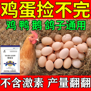 增蛋宝蛋多多鸡用营养性饲料添加剂禽用鸡鸭鹅鹌鹑用产蛋灵多增蛋