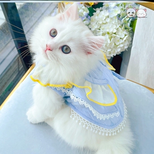 猫咪小裙子公主风夏衣服薄款可爱宠物款夏季防掉毛布偶猫蓝猫幼猫