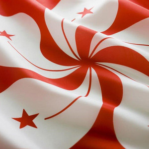 香港旗帜4号香港旗96*144cm旗帜定制紫荆花旗香港区旗