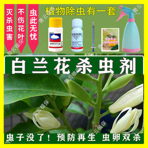 白兰花专用杀虫剂白玉兰打虫除虫治虫长虫黄角兰灭虫生虫黄叶病药