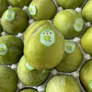 广东特产青宝石李子青李子新鲜当季奈李