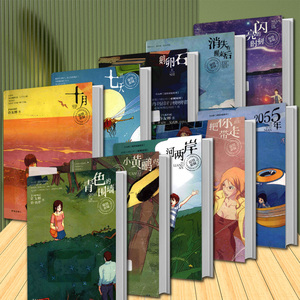 许友彬温情悬疑系列 全10册 《十月.七天.鹅卵石.2055年.河两岸.