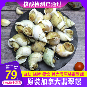 9035人付款天猫林结巴河蚌肉200g新晒干鲜冷冻即食酒店食材湘菜蚌壳肉