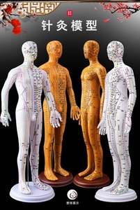 人体穴位模型假人铜色背部清晰模特标注针灸按摩人偶人体模型加大