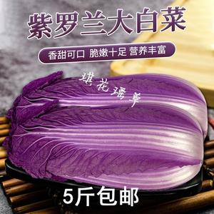 新鲜紫白菜韩国韩裔白菜酒店配菜沙拉专用特菜生吃拌菜5斤
