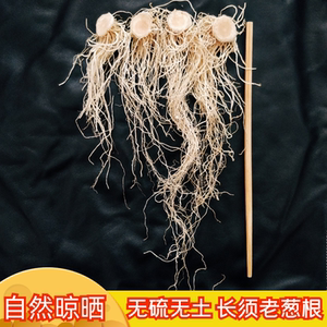 山东大葱须老葱根蒂葱胡子葱根须葱根干香引子偏方250g低价包邮