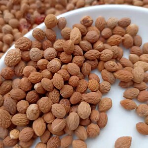 21年新货野生小酸枣核原籽通货仁山枣睡眠枕头手串包邮