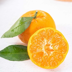 广西马水桔当季新鲜阳春蜜桔子10斤整箱小橘子超甜砂糖橘水果包邮