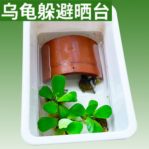乌龟冬眠用品巴西黄缘龟专用 冬眠小房子窝躲避屋洞穴晒台保温箱1人