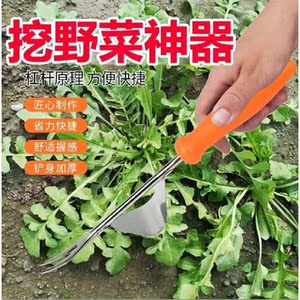 挖野菜神器挖荠菜工具除草工具家庭园艺铲【204不锈钢出口日本】