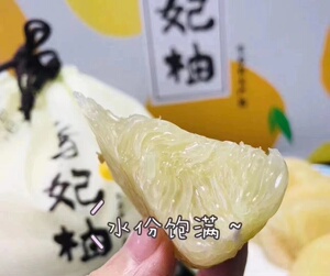 圣甲虫香妃柚纯甜柚子水果12斤礼盒装香甜嫩包邮