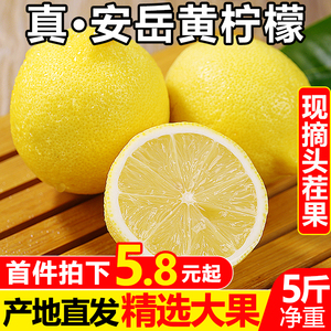 四川安岳黄柠檬5斤新鲜水果包邮当季精选皮薄一级香水鲜甜青柠檬6