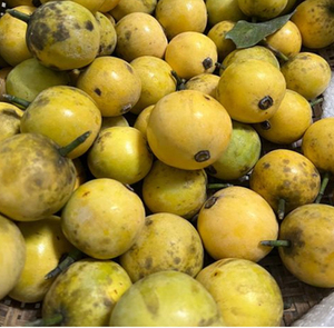 广西新鲜水果木竹果竹吉果竹秸子野生枇杷孕妇酸果牙黄果现采现发