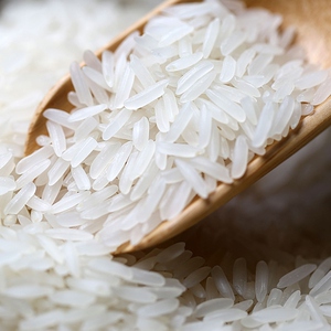 `牧马湖大米长粒米香米2斤5斤小包装油粘米籼米农