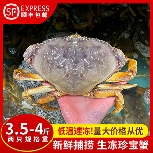 珍宝蟹面包蟹加拿大超大螃蟹鲜活冷冻海鲜两只4斤太子蟹顺丰包邮