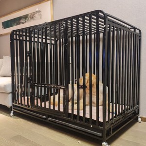 大狗笼子室外大型犬特大号哈士奇阿拉斯加金毛犬专用狗笼加粗超大