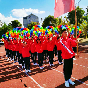 小学生运动会入场开幕式道具创意方阵幼儿园舞蹈啦啦队手持花环
