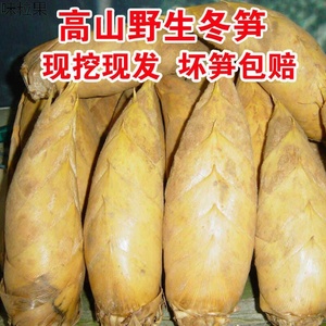 春笋黄泥拱