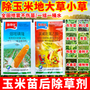 靠得住玉米除草剂苗后专用玉米地除草烂根剂烟嘧磺隆氯氟吡氧乙酸