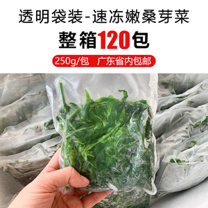 120包整箱透明袋装速冻桑叶菜酒店餐饮食材桑芽菜半成品清远基地