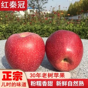 24H发货 陕西秦冠苹果粉面沙甜老树红香蕉苹果当季水果整箱冰糖心