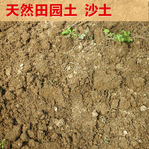 天然田园土沙土菜园泥土黄土园艺垫底家庭营养土种花种菜种植土壤