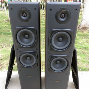 二手美国进口原装狮龙落地音箱sp5200发烧hifi家用6.5寸无源音响
