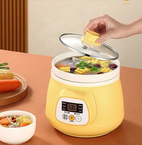 汤锅家用插电小型煮粥神器全自动婴儿辅食炖锅家用陶瓷炖盅电炖锅