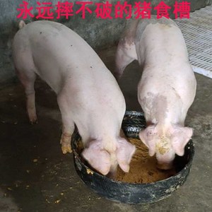 定制大小中号猪食槽轮胎橡胶加线养殖盆大小中猪饲料斗喂马养牛槽
