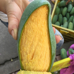 广西田东大桂七芒果新鲜水果整件10斤百色特产青皮桂7香芒