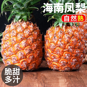 【迷你小果】海南金钻凤梨9斤新鲜果当季香水菠萝无眼树上熟包邮1