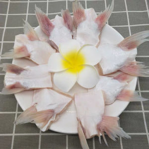 【5斤巴沙鱼翅】鮰鱼鳍批发新鲜冷冻超大鱼下巴鱼翅鱼尾烧烤食材