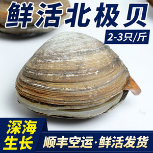 日料大北极贝